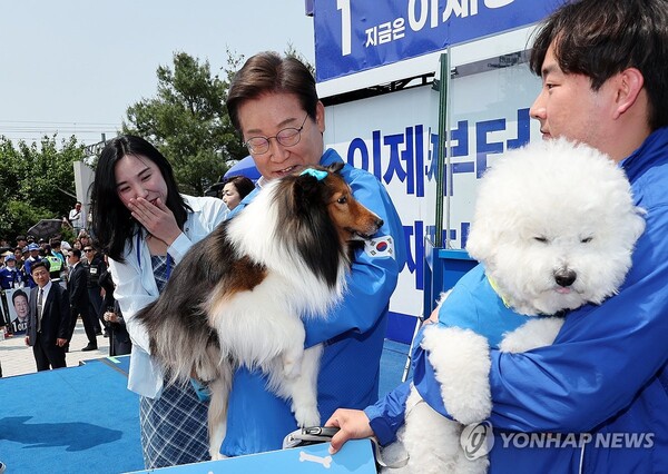 최근 이재명 정부가 동물 복지 정책을 크게 변화시키겠다는 방침을 내세워 주목받고 있다. 연합뉴스