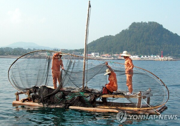 고유의 어로 문화가 살아 숨쉬는 제주도의 이호테우축제가 막바지를 향해 가면서, 전통적인 어로방식인 '테우'가 새롭게 조명되고 있다. 연합뉴스