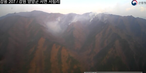 강원도 양양군 서면에서 발생한 산불이 22.5헥타르의 산림을 소실시키고 약 16시간 후에 진화되었다. 연합뉴스