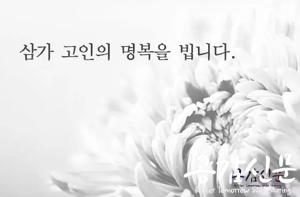 ▲ 부고    ©염보라
