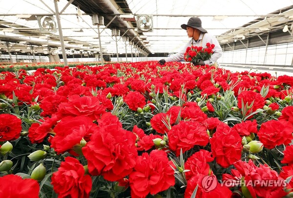 5월, 전국 곳곳 특별한 축제와 행사로 가득한 이유