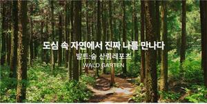 자라나다숲, 한국산림복지진흥원 청년유망사업 선정 - 뉴스 썸네일 이미지