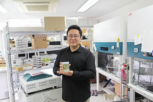 뉴스프링, 줄기세포 기반 묘목 대량생산 기술로 조림 수급난 해법 제시 - 뉴스 썸네일 이미지